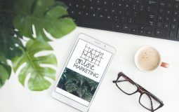 8 SEO Facts That All Digital Marketers Should Know