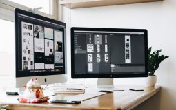 Top 10 Tips Choosing Web Designer